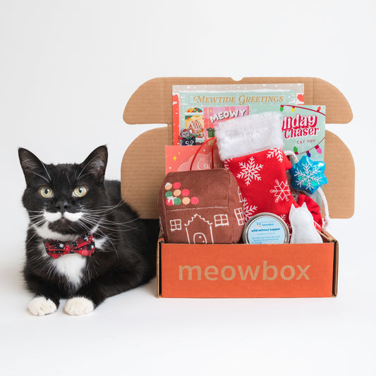 meowbox's 2024 Gift Guide for Cats and Cat Lovers