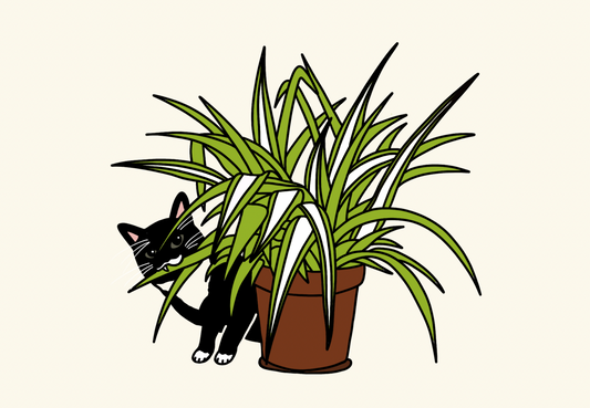 10 Cat-Safe Plants that are Also Hard to Kill