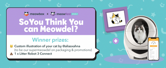 meowfest x meowbox Presents: So You Think You Can Meowdel? Contest