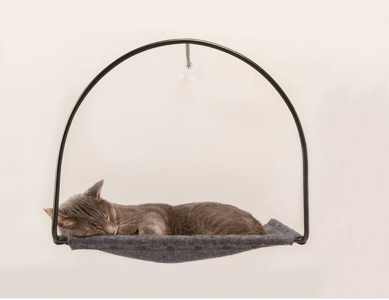 Holiday Gift Ideas for Your Cat