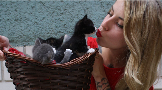 Kitten Lady: the Cat Lady of Today