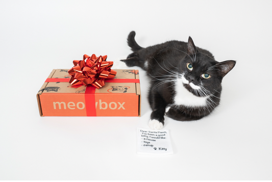 meowbox's 2021 Pawliday Gift Guide
