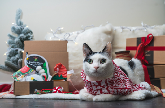 Paw-Picked Stocking Stuffers for Your Favourite Cat Lover