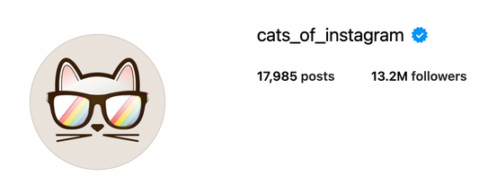 Cat Chic Week 15: The humans of @cats_of_instagram