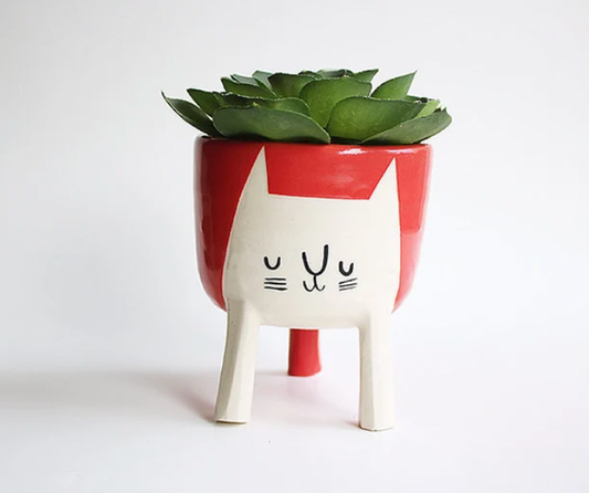 10 Cat Items for Humans That We Need Right Meow