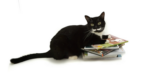 Top 10 Back to School Supplies for Cat Lovers