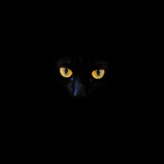 Black Cat Mysteries