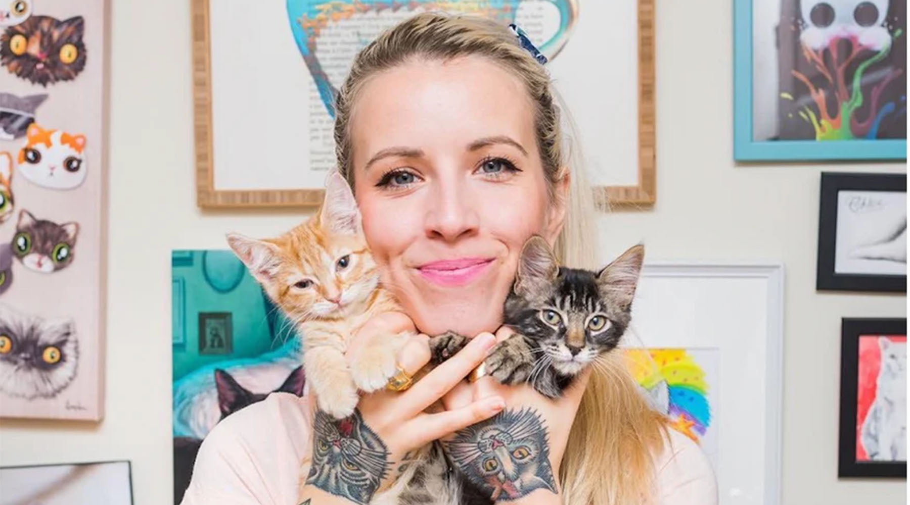 Our Top 8 Favourite Foster Kitty Instagram Accounts – meowbox