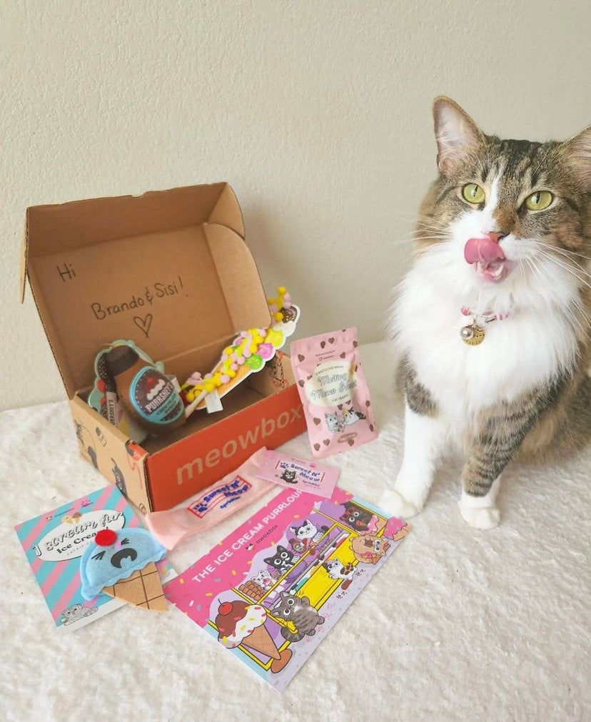 a white and brown cat sitting next to a meowbox full of ice cream themed cat toys 