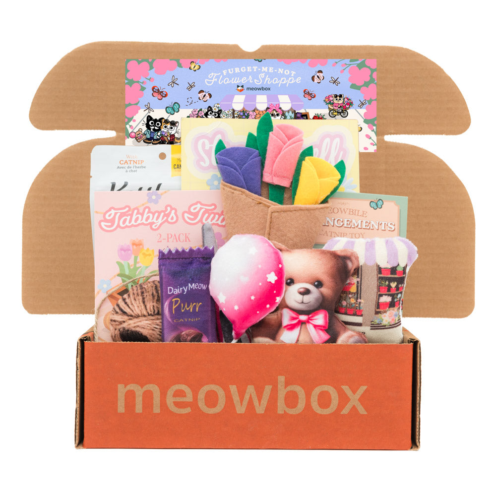 meowbox Subscription