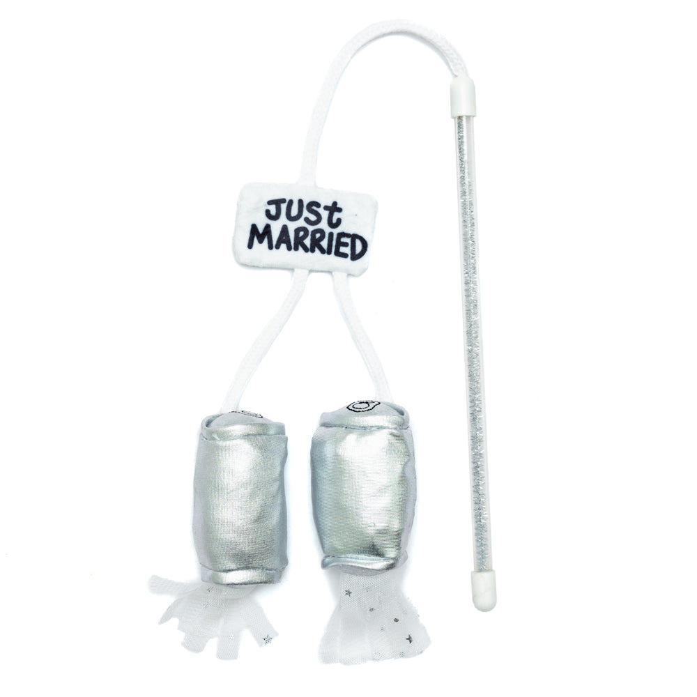 cat wand toy with 2 cans and a just married sign 