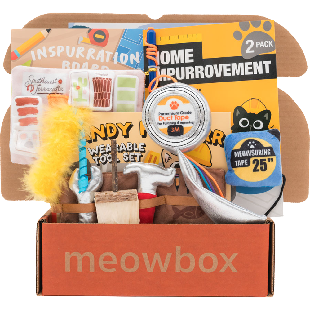 box filled with home DIY themed cat toys