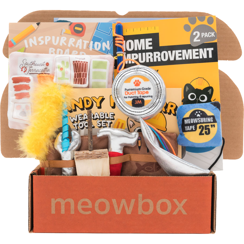 box filled with home renovation themed cat toys