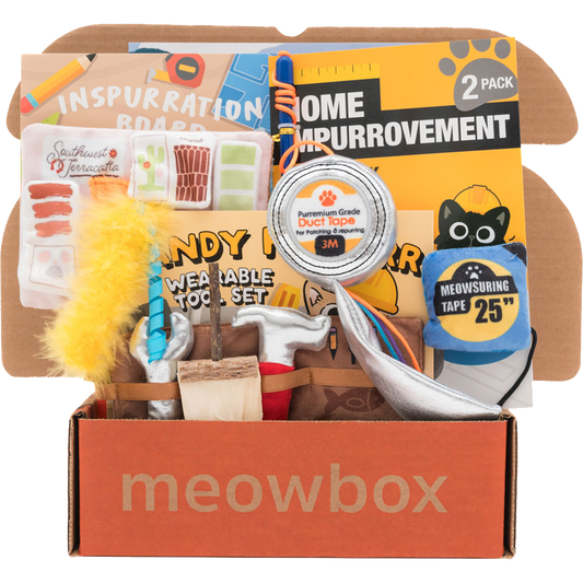 box filled with home renovation themed cat toys