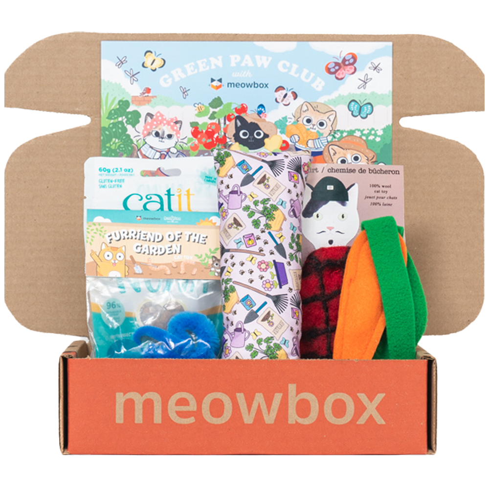 box filled with garden themed cat toys