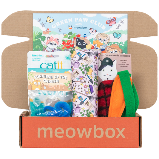 box filled with garden themed cat toys
