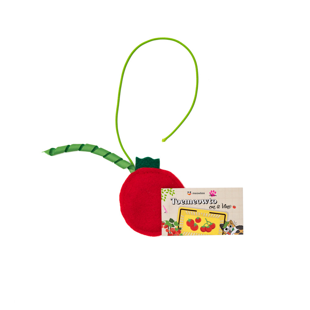 tomato shaped bouncer toy for cats 