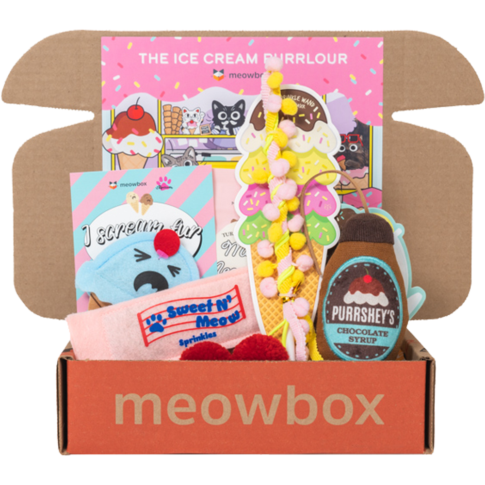 box filled with icecream shaped catnip cat toys