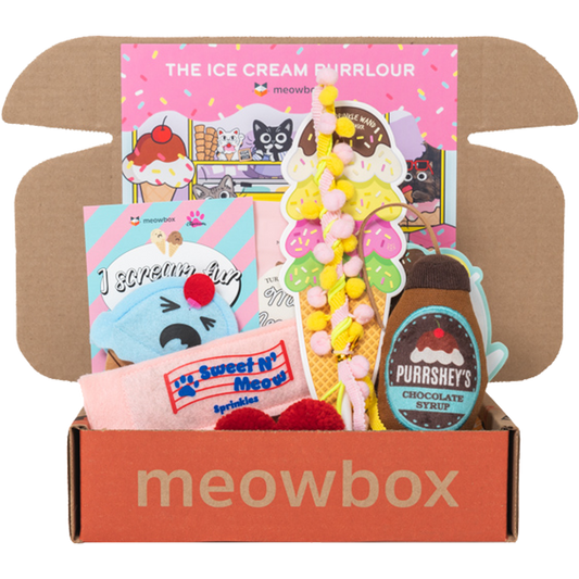 box filled with icecream shaped catnip cat toys