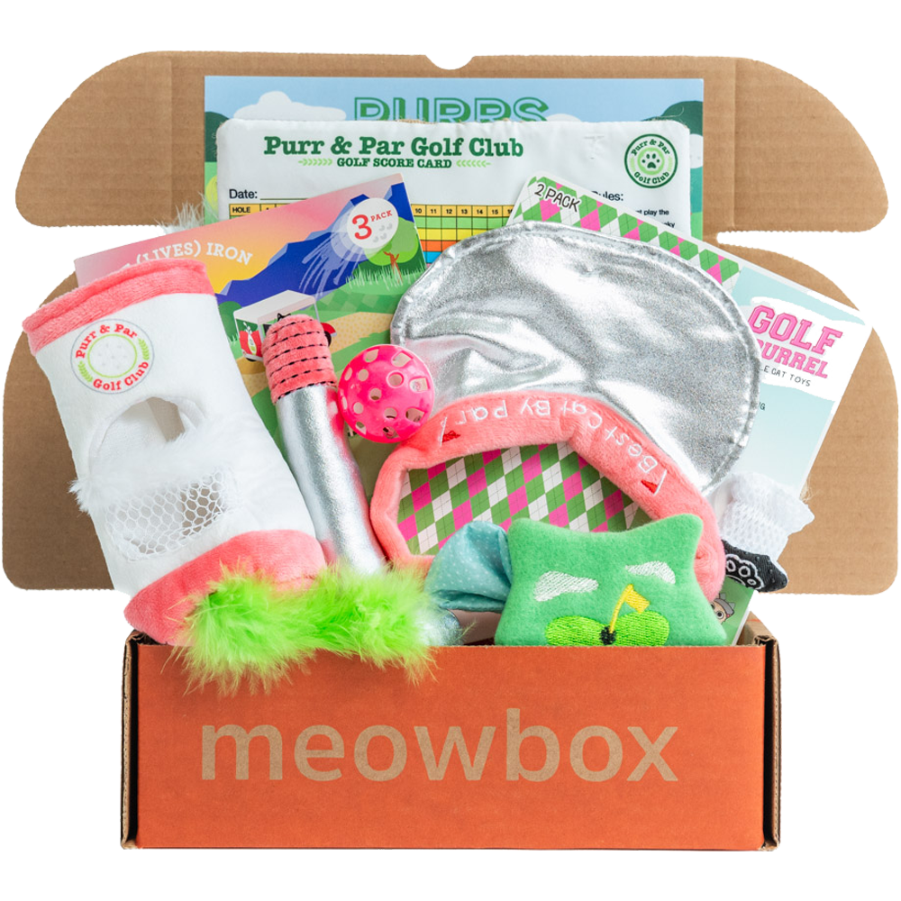 box filled with golf themed cat toys