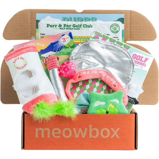 box filled with golf themed cat toys