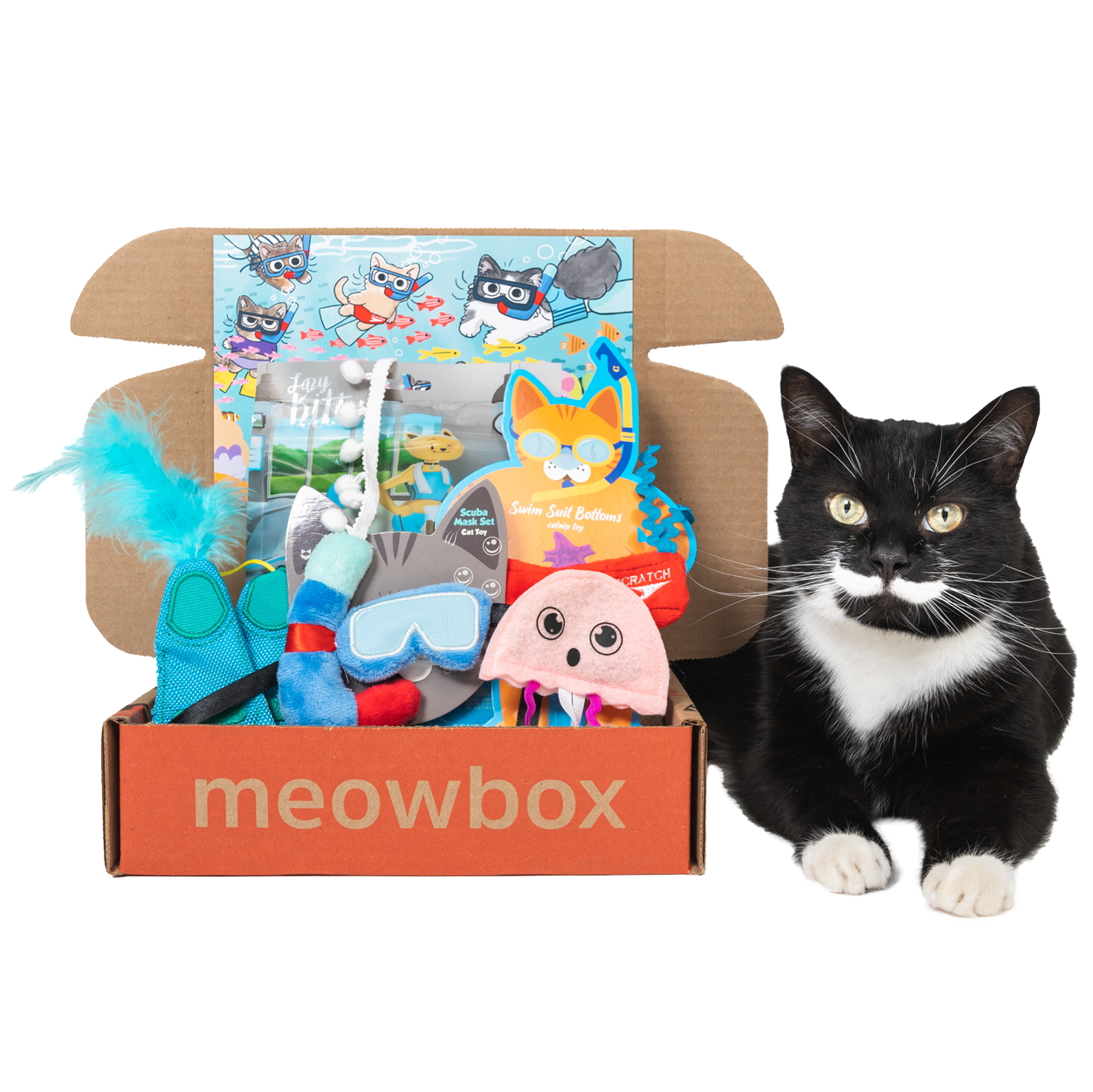 Image of a black and white cat laying next to the Meowrine Life meowbox