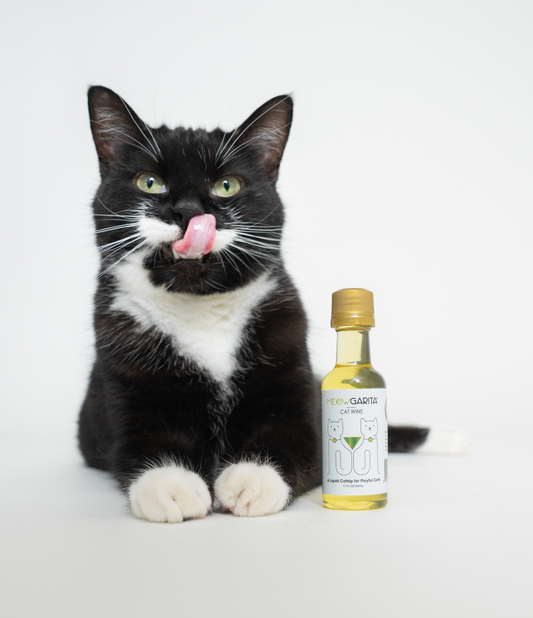 Meowgarita Cat Wine